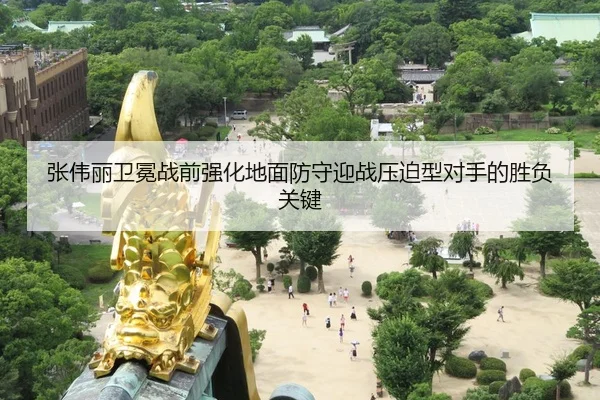 张伟丽卫冕战前强化地面防守迎战压迫型对手的胜负关键